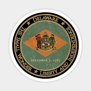 Vintage Delaware USA United States of America American State Flag Magnet